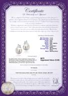 Product certificate: FW-W-AAA-78-E-Bikita