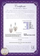 Product certificate: FW-W-AAA-910-E-Karley