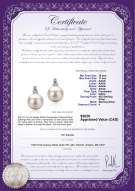 Product certificate: FW-W-AAAA-1011-E-Hailey