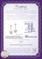 Product certificate: FW-W-AAAA-1011-E-Raquel