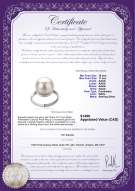 Product certificate: FW-W-AAAA-1011-R-Tindra