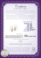 Product certificate: FW-W-AAAA-78-E-Artsy