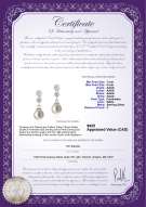 Product certificate: FW-W-AAAA-78-E-Colleen