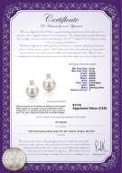 Product certificate: FW-W-AAAA-89-E-Eternity