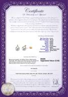 Product certificate: FW-W-AAAA-910-E-Eternity-YG-L