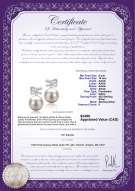 Product certificate: FW-W-AAAA-910-E-Marte