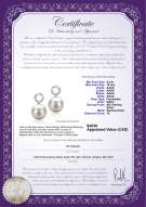 Product certificate: FW-W-AAAA-910-E-Shellry