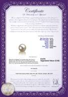 Product certificate: FW-W-AAAA-910-L1