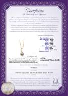 Product certificate: FW-W-AAAA-910-P-Sora