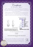 Product certificate: FW-W-EDS-1516-Baroque-E
