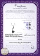 Product certificate: JAK-B-AA-67-P-Diana