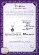 Product certificate: JAK-B-AA-78-P-Randy