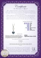 Product certificate: JAK-B-AA-89-P-Pennie