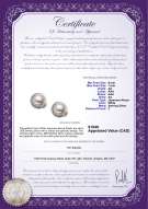 Product certificate: JAK-W-AA-67-E-Jocelyn