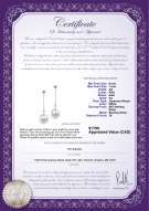 Product certificate: JAK-W-AA-67-E-Paula