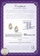 Product certificate: JAK-W-AAA-89-E-Anastasia