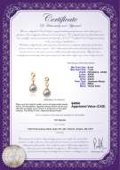 Product certificate: JAK-W-AAAA-67-E-HANA-Anya