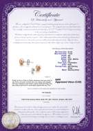 Product certificate: P-AA-67-E