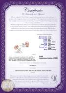 Product certificate: P-AA-78-E