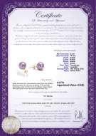 Product certificate: P-AAAA-910-E-OLAV