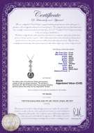 Product certificate: SALT-PEND-010