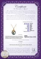Product certificate: SALT-PEND-4205
