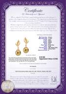 Product certificate: SS-G-AAA-1011-E-Damica