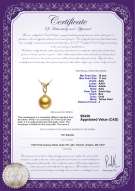 Product certificate: SSEA-G-AAA-1011-P-Monica