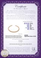 Product certificate: SSEA-G-N-C310