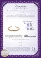 Product certificate: SSEA-G-N-C313