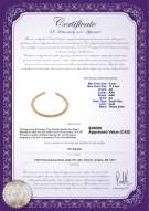 Product certificate: SSEA-G-N-C318