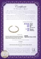 Product certificate: SSEA-MULTI-N-C321