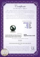 Product certificate: TAH-B-AA-1213-L1