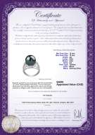 Product certificate: TAH-B-AA-1213-R-Alva