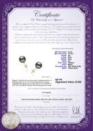 Product certificate: TAH-B-AA-910-E