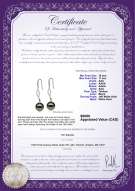 Product certificate: TAH-B-AAA-1011-E-Olivia