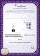 Product certificate: TAH-B-AAA-1011-P-Hilary
