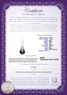 Product certificate: TAH-B-AAA-1011-P-Romola