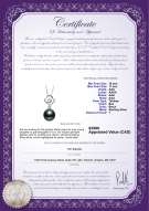 Product certificate: TAH-B-AAA-1011-P-Yael
