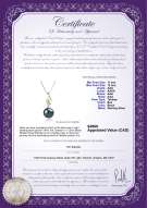 Product certificate: TAH-B-AAA-1112-P-Caresse