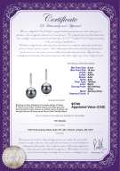 Product certificate: TAH-B-AAA-910-E-Janet