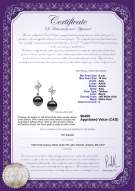 Product certificate: TAH-B-AAA-910-E-Lure