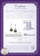 Product certificate: TAH-B-AAA-910-E-Merry