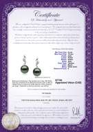 Product certificate: TAH-B-AAA-910-E-Seductive