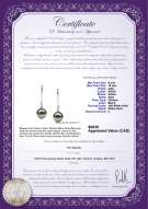 Product certificate: TAH-B-AAA-910-E-Simplicity