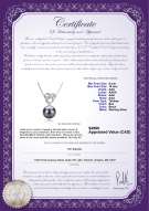Product certificate: TAH-B-AAA-910-P-Adelina