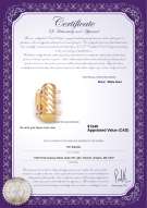 Product certificate: W-14K-TRP-Clasp-Dartmoor