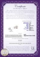Product certificate: W-AA-78-E-SS