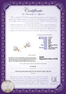 Product certificate: W-AAA-758-E-Akoy