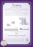 Product certificate: W-AAAA-78-E